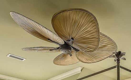 Picture of Designer Ceiling Fan